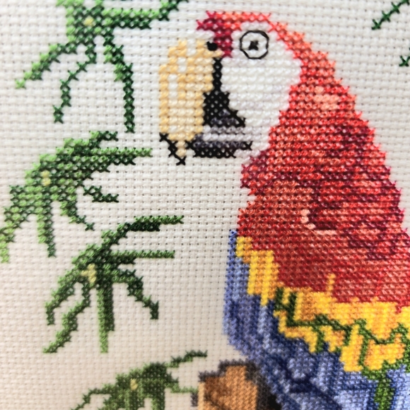 Vintage Parrot Cross Stitch 13x7.75 Faux Bamboo Frame - Picture 2 of 8